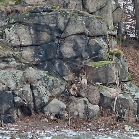 Schronisko Sokoliki Myslakowice