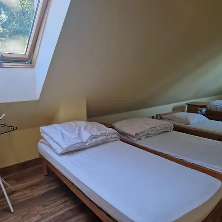 Guest house Schronisko Sokoliki