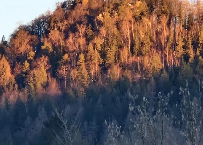 Guest house Schronisko Sokoliki Myslakowice