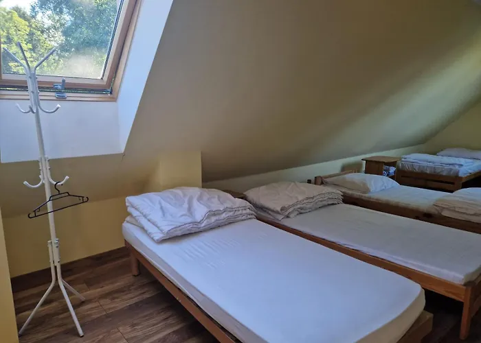 Guest house Schronisko Sokoliki